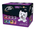 Cesar Canine Cuisine Wet Dog Food, 8 Flavor Variety Pack Classic Loaf in Sauce (3.5 oz., 40 ct.) - 3.5 oz., 40 ct