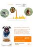 PETKIT P2 Smart Activity Monitoring Pet Tracker - Gold