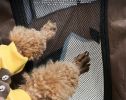 Portable Pet Soft Playpen, Pop up Tent Indoor & Outdoor Use Durable Paw Kennel Cage, Waterproof Bottom Removable Top Puppy Pen - yellow