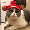 Funny Cat Hat Cartoon Duck Tiger Cosplay Costume Headgear Cute Pets Dog Cap Puppy Kitten Dress Up Accessories - red