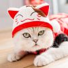 Funny Cat Hat Cartoon Duck Tiger Cosplay Costume Headgear Cute Pets Dog Cap Puppy Kitten Dress Up Accessories - red