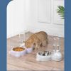 Pet Cat Bowl Stainless Steel Multifunctional Dog Cat Bowl With Water Bottle Drinking Water Feeding Bear Bowl gatos - Blue
