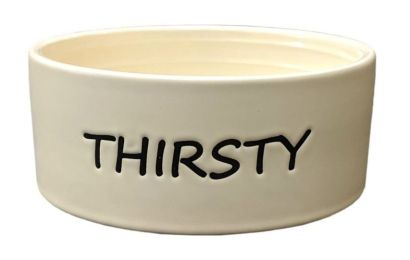 Spot Thirsty Dog Dish Water Bowl (Size: 1 count 5" wide)