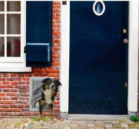 Ideal Pet Products Ruff-Weather Pet Door with Telescoping Frame (Size: X-Large)